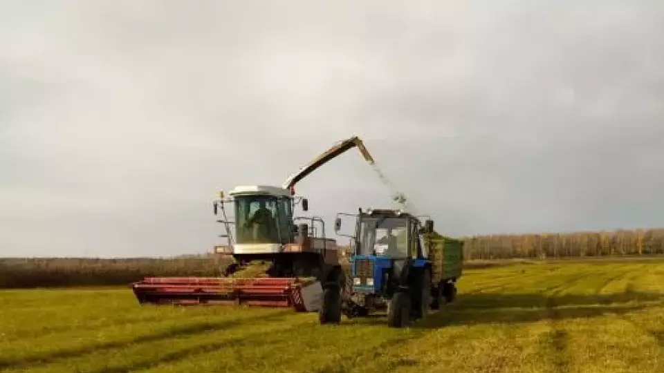 В регионы УрФО для поддержки производителей зерна направлено 543 млн. рублей