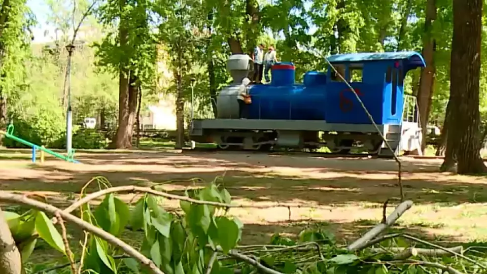 «Прямая линия» председателя комитета благоустройства Екатеринбурга Тамары Благодатковой