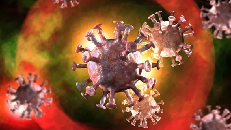 Тайвань может стать потенциальным эпицентром будущей пандемии