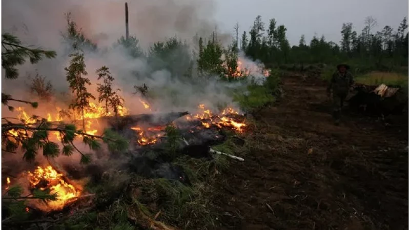Площадь лесных пожаров сократилась в три раза на Среднем Урале