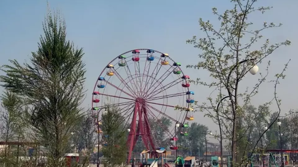 400 деревьев и кустарников высадили в Богдановиче в Парке культуры и отдыха