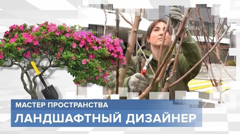 «Тружусь и горжусь». Профессия - ландшафтный дизайнер