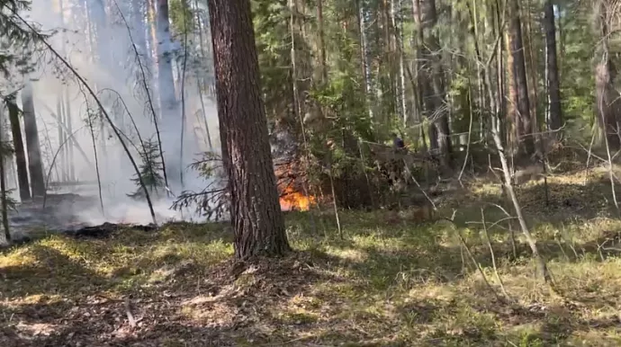 11 лесных пожаров потушено на Среднем Урале