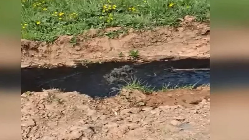 В свердловском посёлке потекли реки из канализации