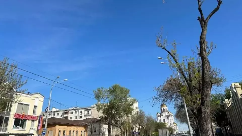 В Екатеринбурге стало легче дышать