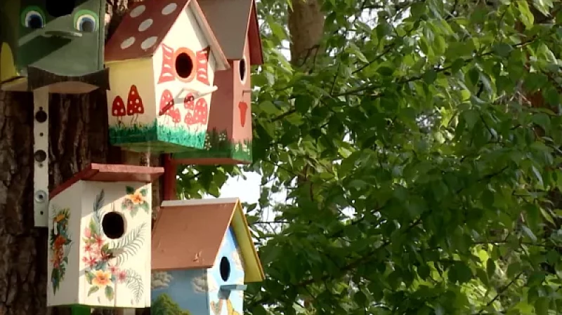 Больше 40 000 уральцев проголосовали за благоустройство парка «Уралмаш»