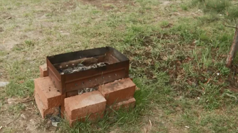 За сутки в Свердловской области потушили 10 природных пожаров