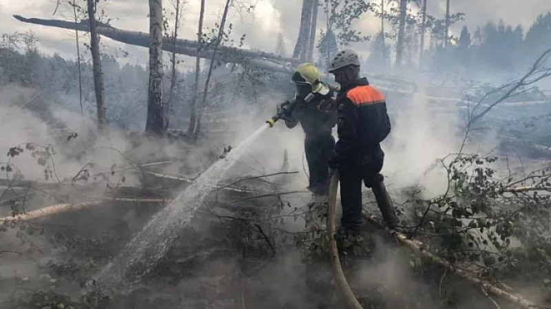 10 природных пожаров ликвидировано на Среднем Урале за прошедшие сутки