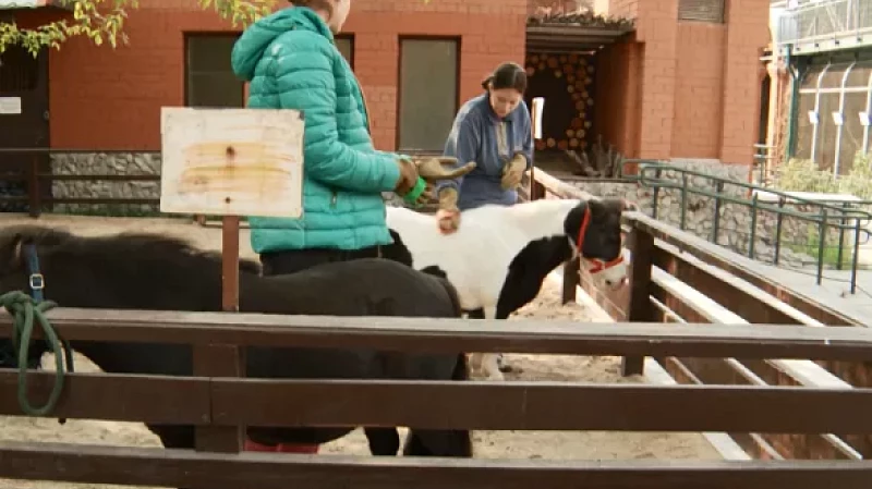 Лучшего кипера выбрали в Екатеринбургском зоопарке