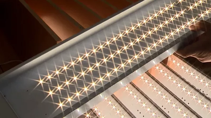 ИК № 2 Екатеринбурга поставила личный рекорд по прибыли