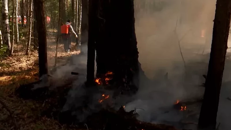 Более 4000 волонтёров продолжают борьбу с лесными пожарами