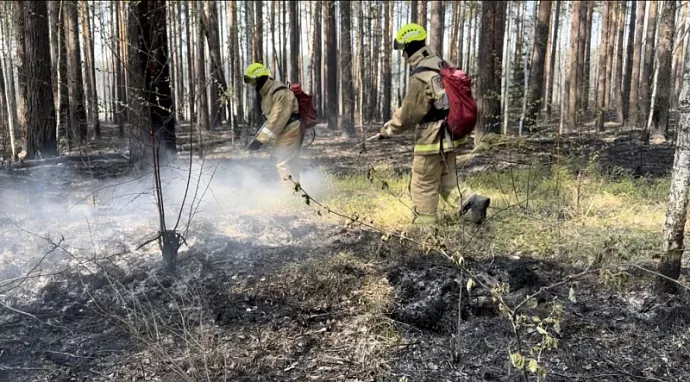 С огнём в Свердловской области продолжают бороться почти 4,5 тыс. человек