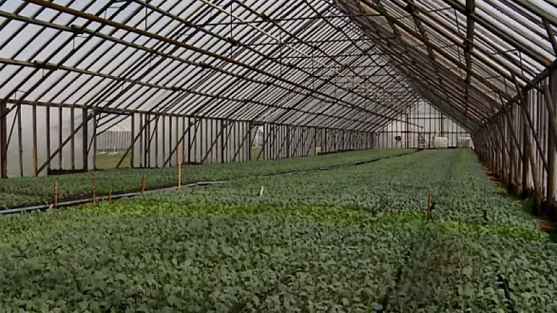 В Свердловской области продолжается посевной сезон