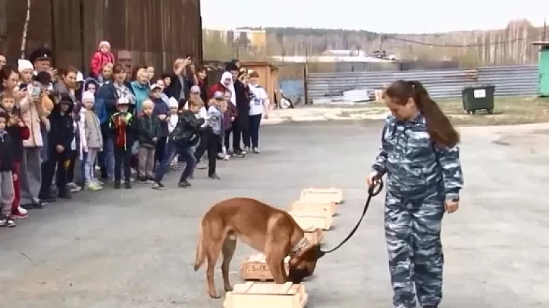 Более 70 школьников побывали в кинологическом центре МВД