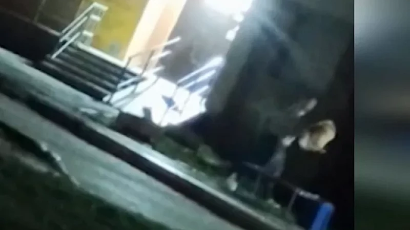 В Академическом районе Екатеринбурга мужчина до смерти забил собаку