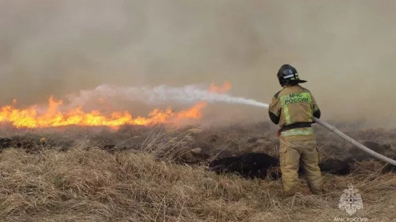 С начала пожароопасного сезона в УрФО зафиксировано 459 лесных пожаров
