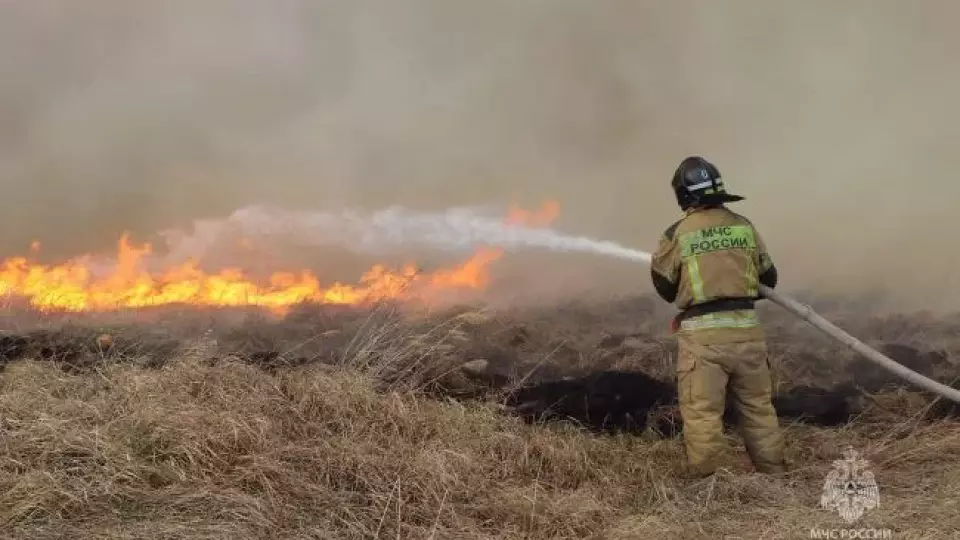 С начала пожароопасного сезона в УрФО зафиксировано 459 лесных пожаров