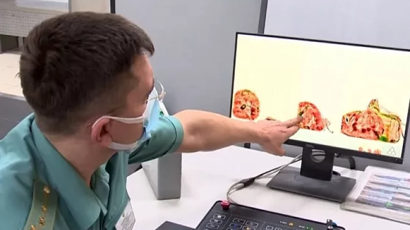 Ты не ввезёшь! Таможенники напомнили правила ввоза продуктов и сувениров из-за границы