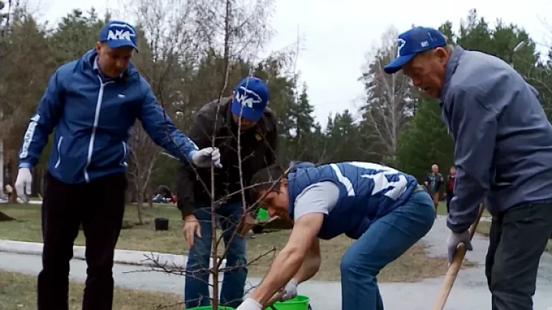 Чиновники вышли на уборку территории госпиталя ветеранов войн