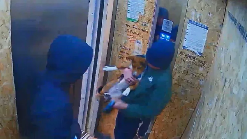 В Академическом буйный мужчина накинулся с кулаками на ребёнка и его щенка