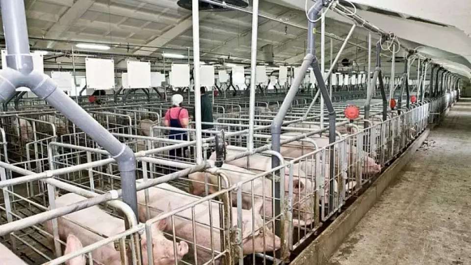 На 18% выросли поставки продукции агропромышленного комплекса из Белоруссии в Россию