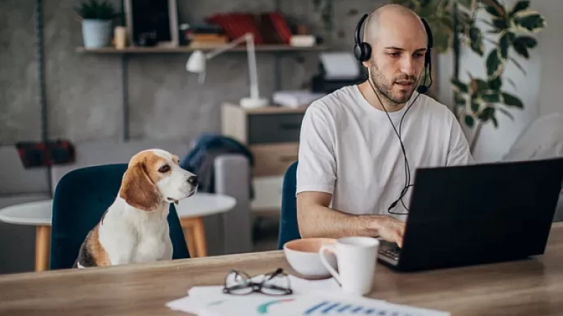 Удалённых вакансий в России стало меньше