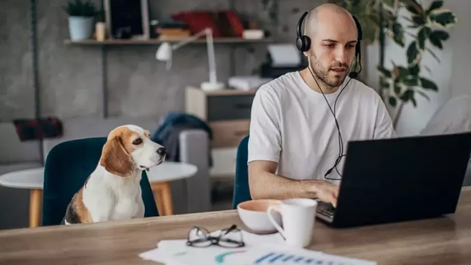 Удалённых вакансий в России стало меньше