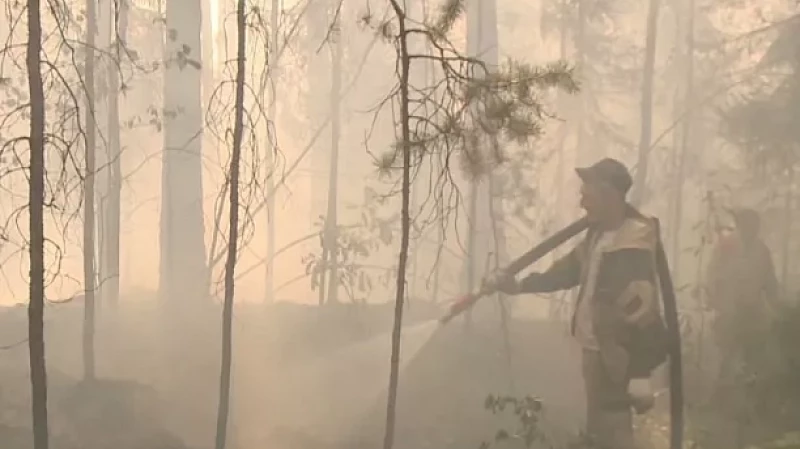 В 19 свердловских муниципалитетах особый противопожарный режим введён досрочно