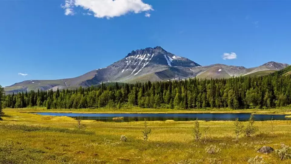 Инициативы свердловчан в области туризма реализуют в рамках проекта «Уральские каникулы»
