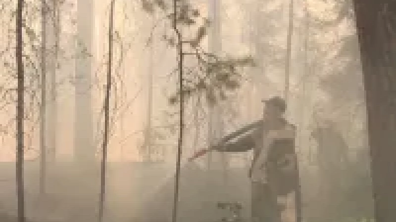 В Свердловской области создали специальную бригаду по борьбе с торфяными пожарами