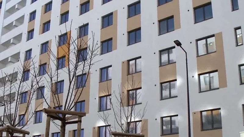 В деревне международного фестиваля университетского спорта побывали российские школьники