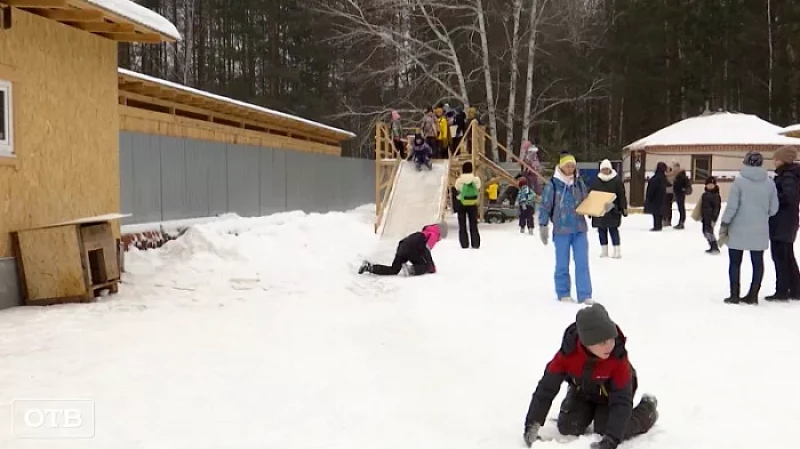 СК возбудил уголовное дело по факту нападения собаки на девочку во время экскурсии в питомнике Полевского