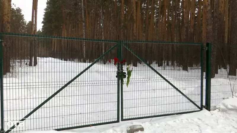 Жители Широкой речки устроили прощание с деревьями