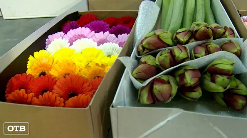 К 8 Марта в Екатеринбург доставили 233 тонны цветов