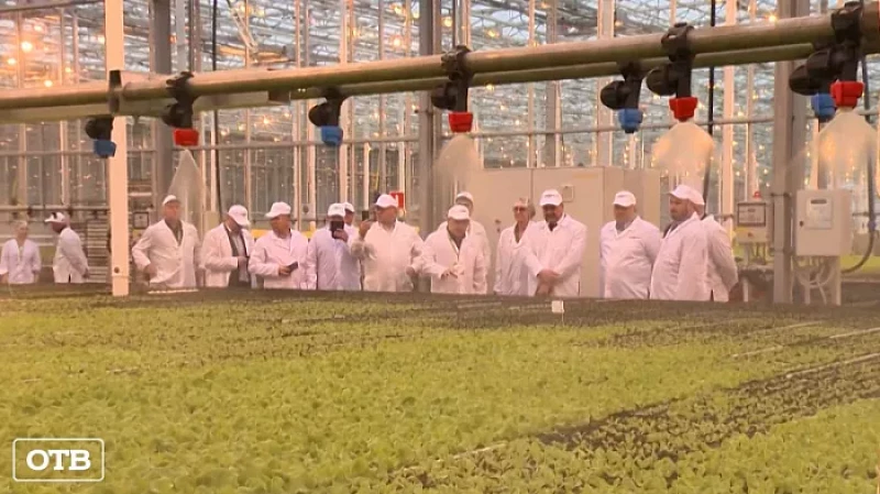 Белорусские аграрии познакомились с новейшими технологиями выращивания огурцов и томатов на Урале