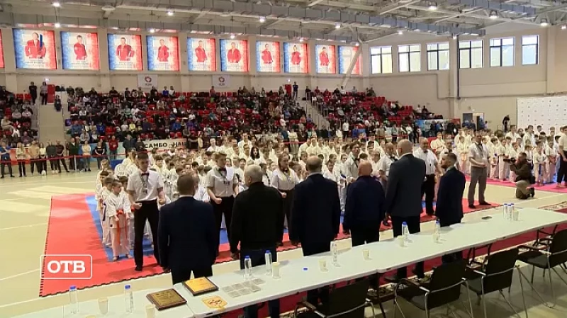 Больше 450 спортсменов стали участниками чемпионата по всестилевому каратэ в Верхней Пышме