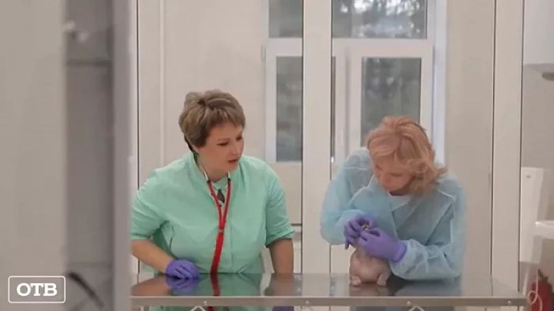 Первый в России бесплатный ветеринарный центр на Урале