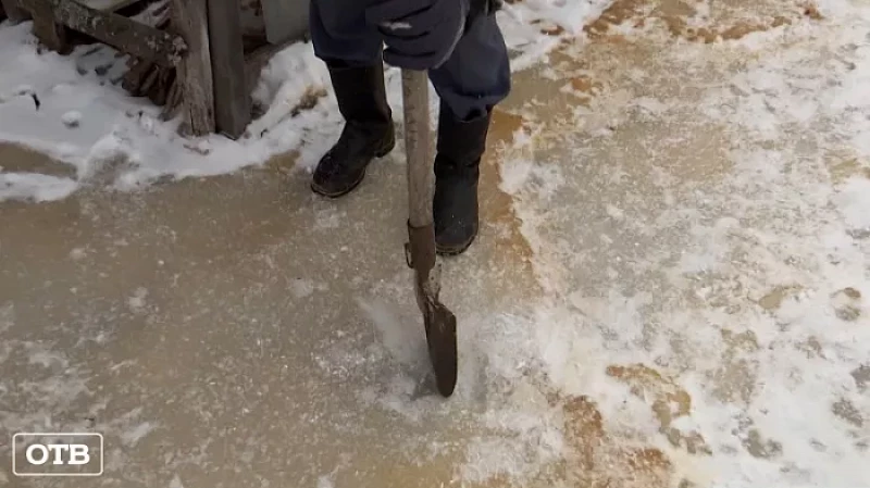 В садовом товариществе Екатеринбурга целую улицу затопило фекалиями