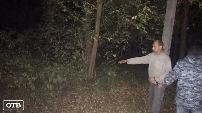 46-летнего насильника из Красноуфимска приговорили к 11 годам лишения свободы