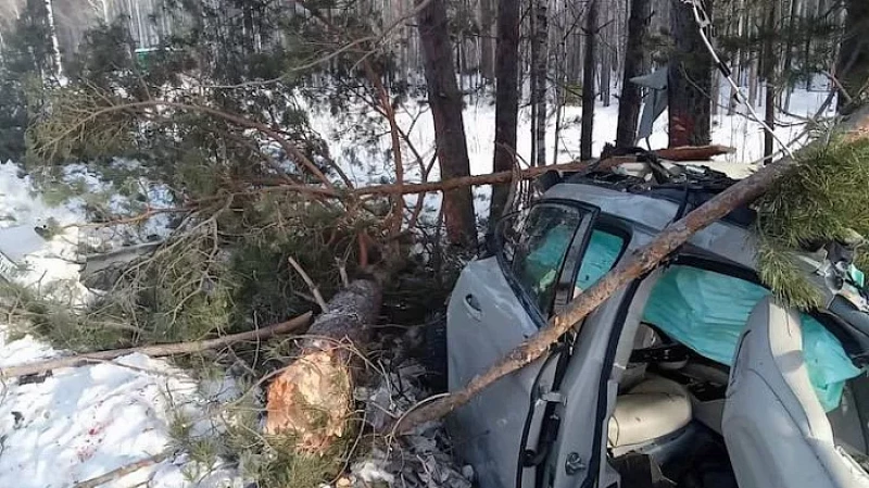 «Летели за 200 км/ч»: смертельное ДТП с «Порше Панамера» на трассе Тюмень – Нижняя Тавда