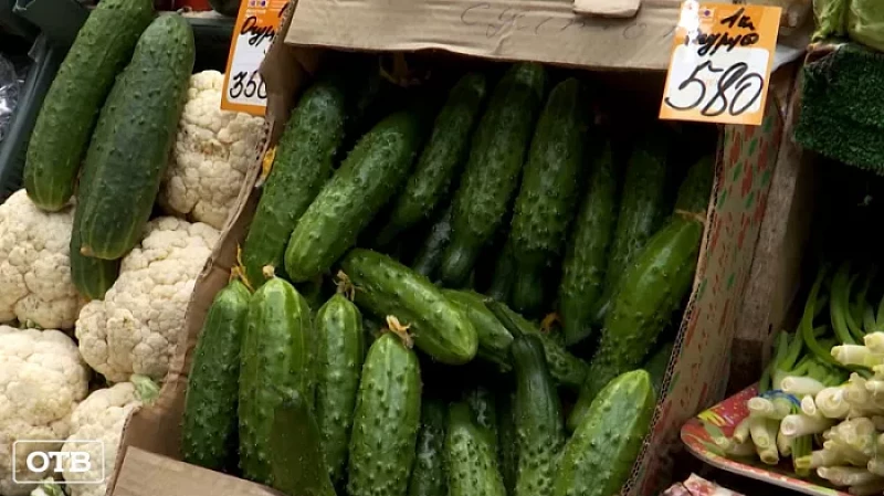 По 650 рублей за кило: екатеринбуржцы недовольны повышением цен на огурцы