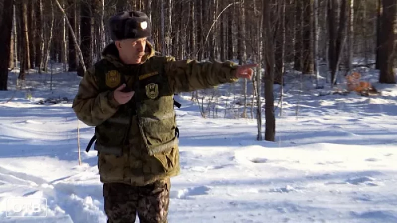 В «Бажовских местах» пересчитывают диких животных