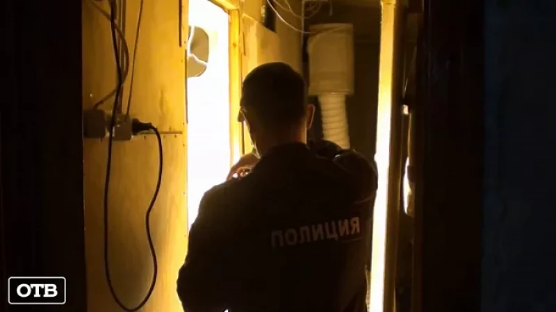 Хирург-стоматолог из Екатеринбурга осуждён на 9 лет за незаконную ботанику