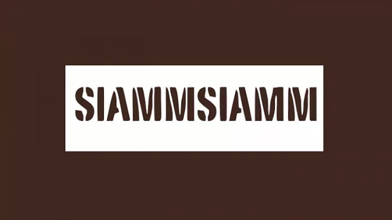 Уральский бренд Siammsiamm закрывается