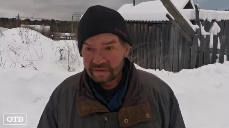 Полицейские задержали жителя Кушвы, рубившего ели в лесу у дома