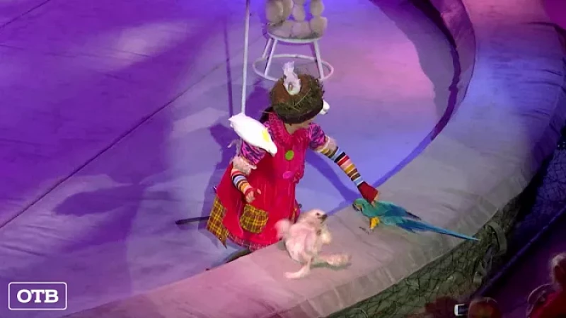 В Екатеринбурге стартовали заключительные гастроли Цирка перед закрытием его на реконструкцию