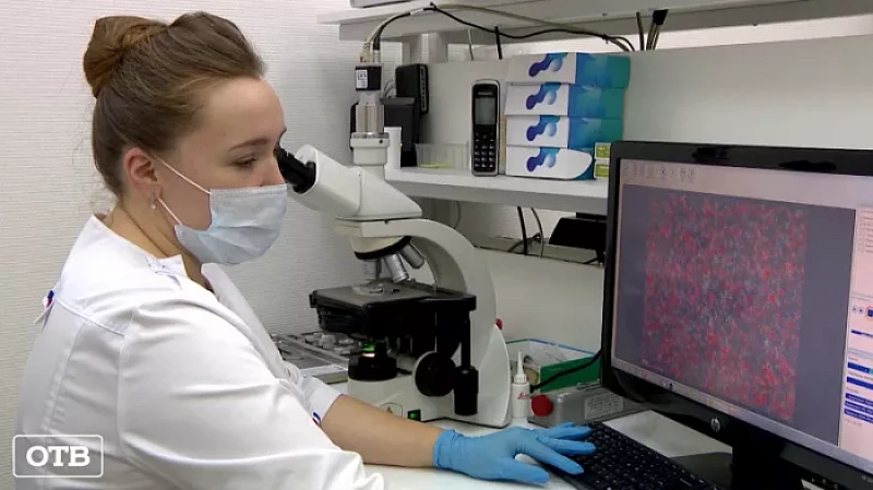 В Свердловской области растёт число пар, желающих пройти процедуру ЭКО