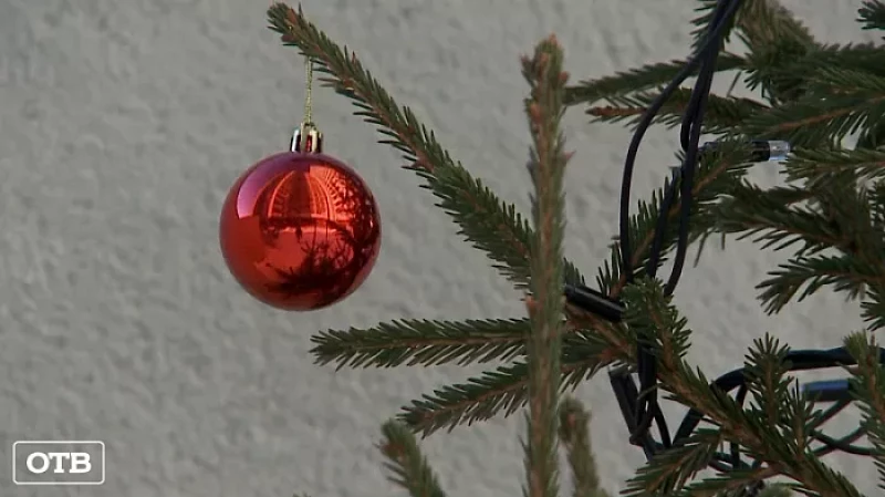 Похитители праздника: в одном из дворов Екатеринбурга дети испортили ёлочные украшения