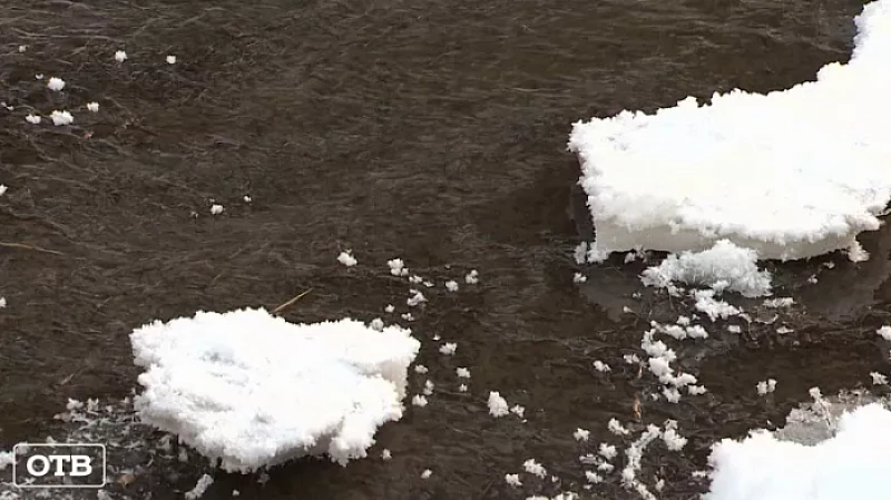 В Реже коммунальщики никак не могут осушить фекальные реки