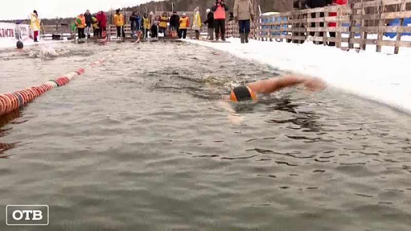 150 моржей со всей России приняли участие в чемпионате по зимнему плаванию